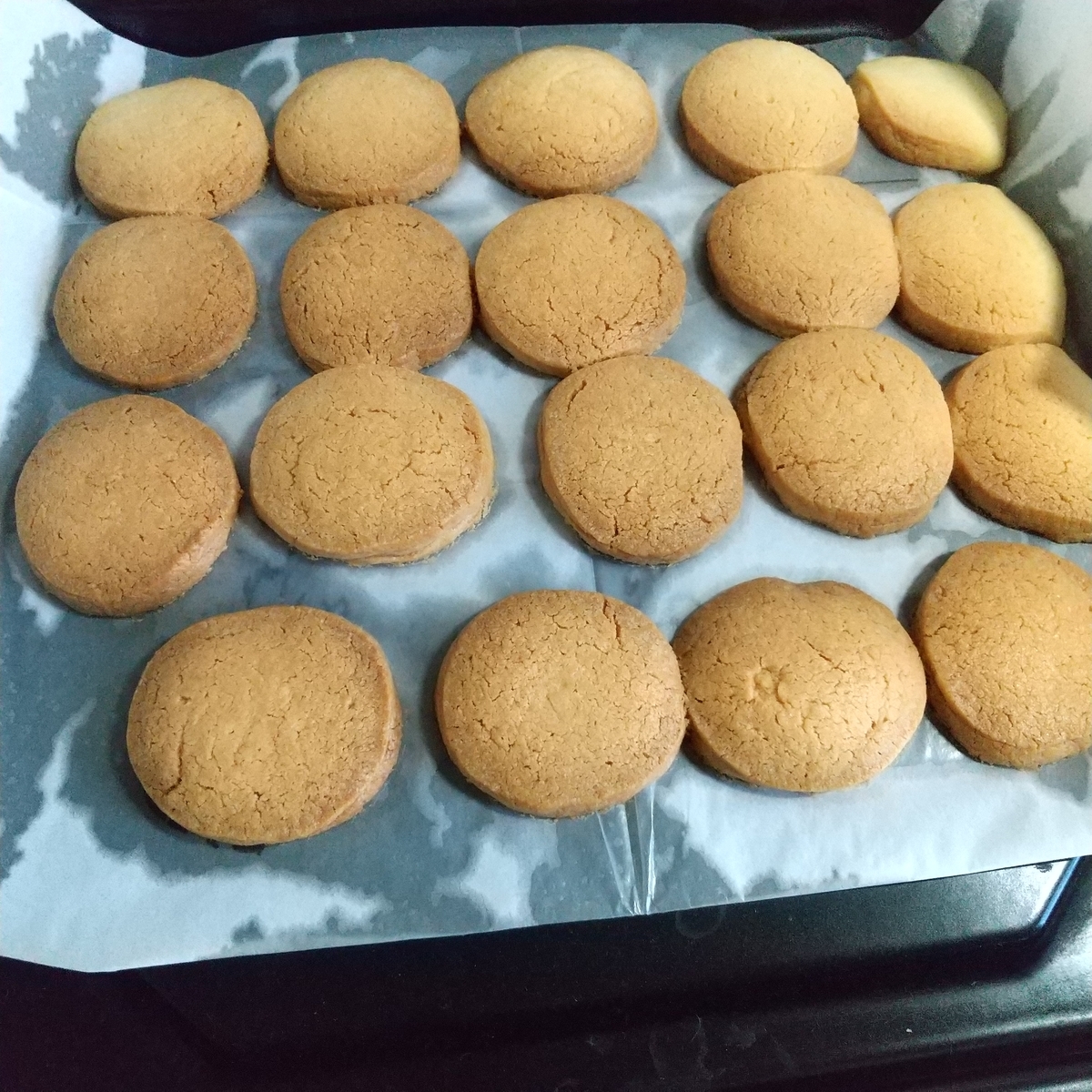 f:id:MUJI:20210318153829j:plain