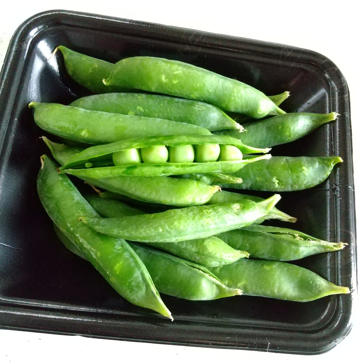 f:id:MUJI:20210320125140j:plain