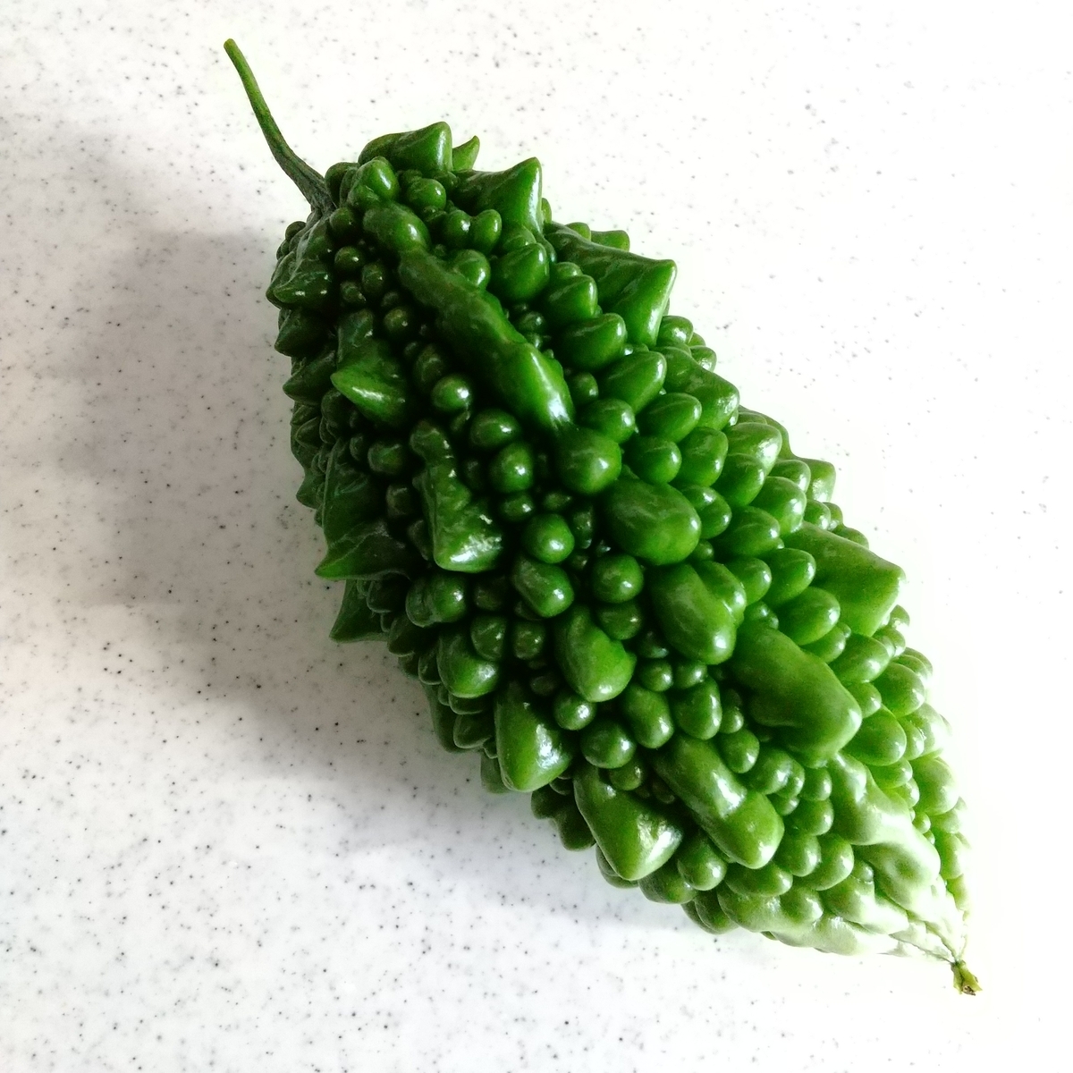 f:id:MUJI:20210723195902j:plain