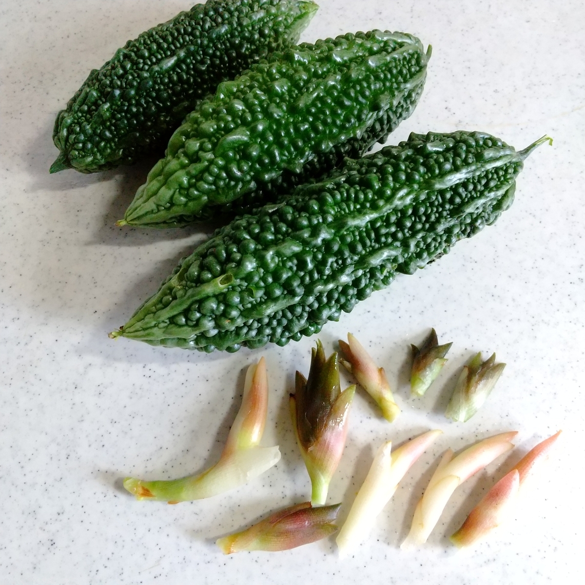 f:id:MUJI:20210911164420j:plain