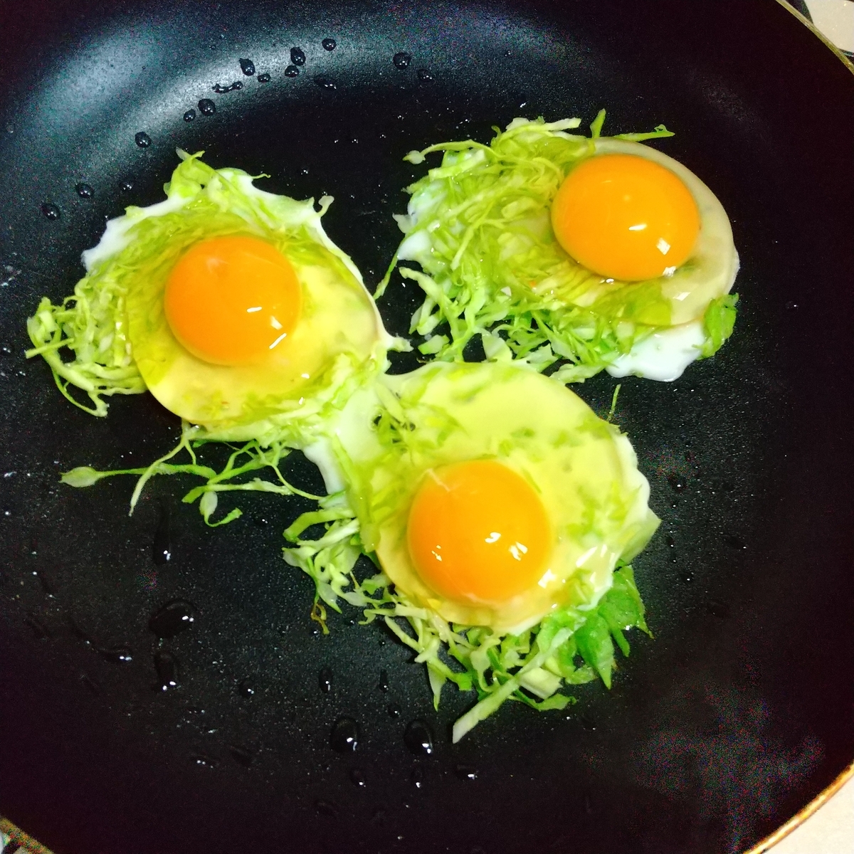 f:id:MUJI:20220225162327j:plain