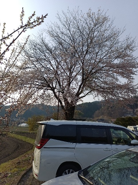 f:id:MUMPS:20250421082716j:image