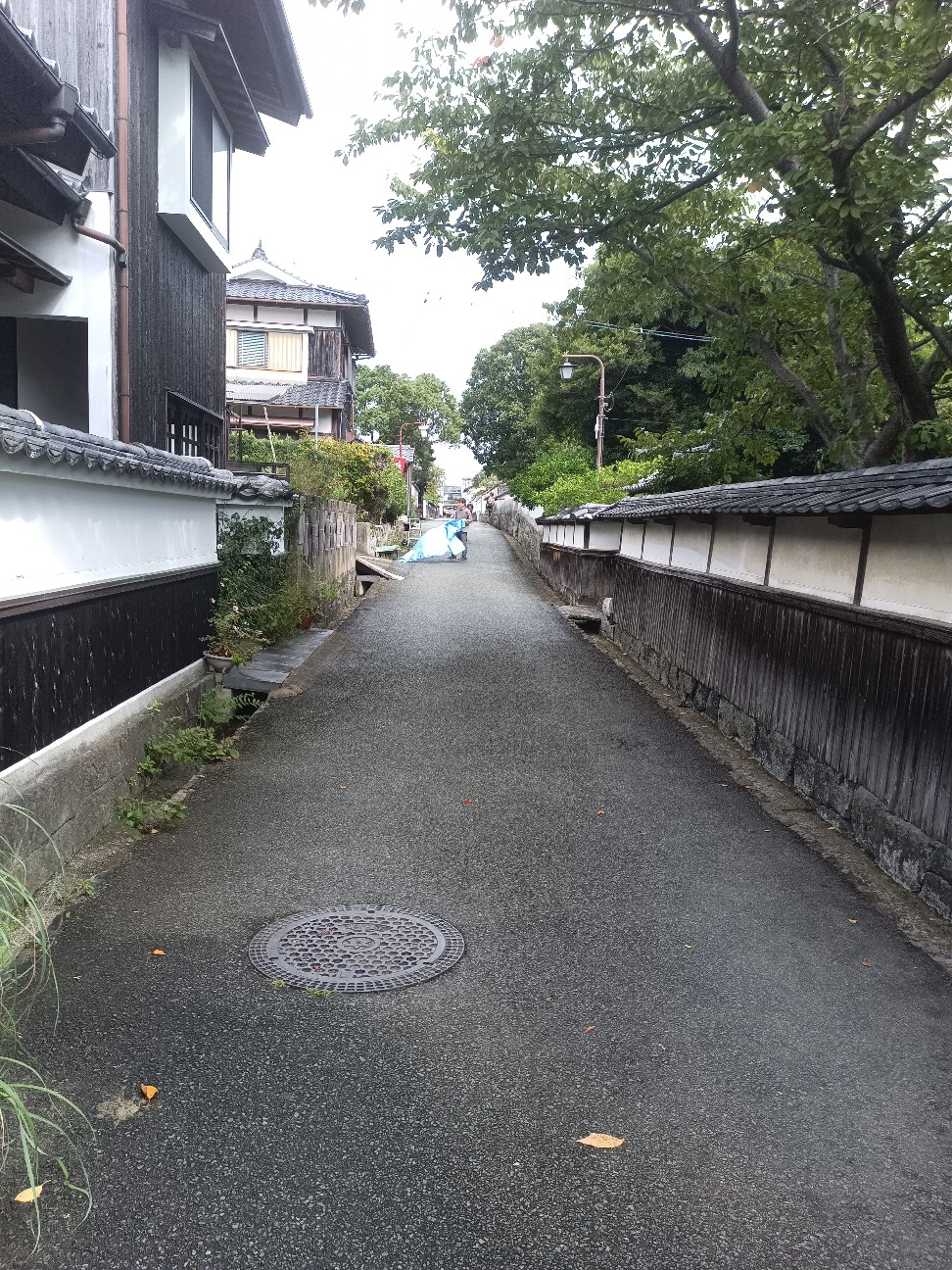 f:id:MUMPS:20260928235245j:image