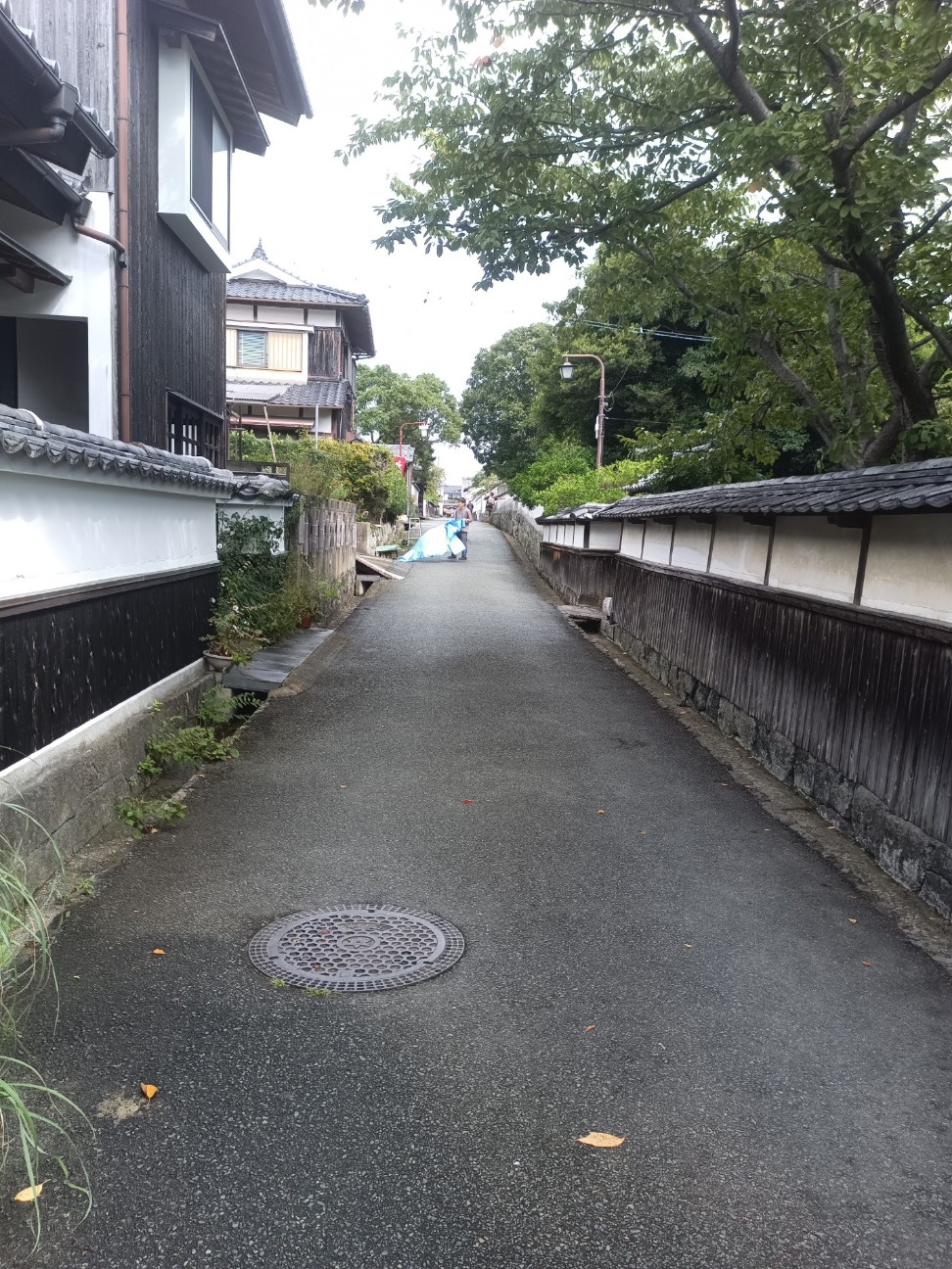 f:id:MUMPS:20260928235246j:image