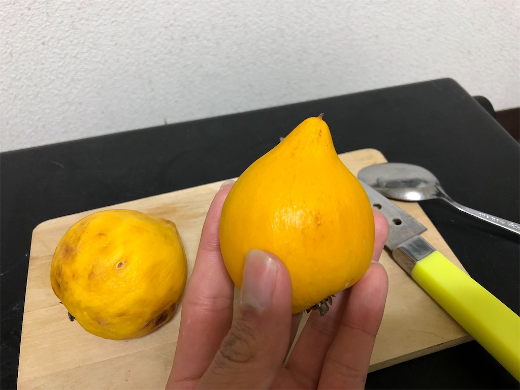 激レアフルーツ カニステル実食 Mushi Kun S Blog