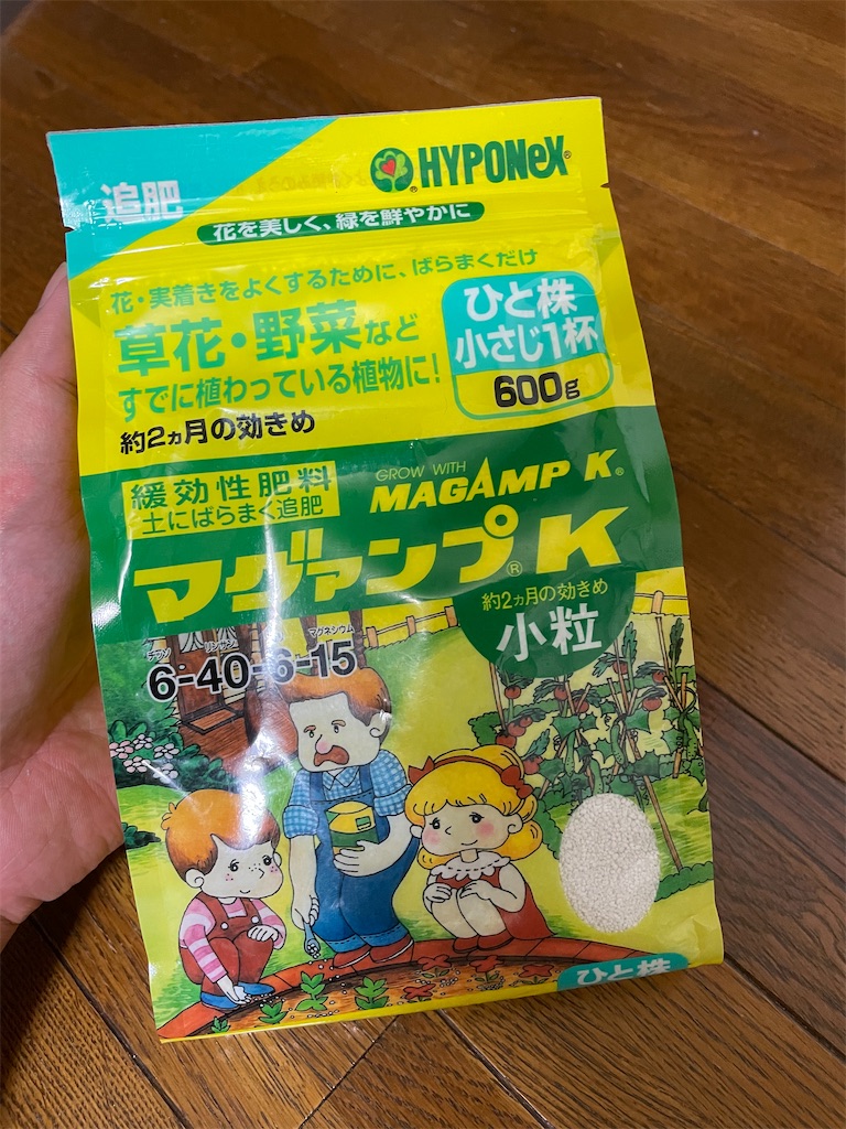 f:id:MUSHIKUN:20221010065704j:image f:id:MUSHIKUN:20221010065704j:image