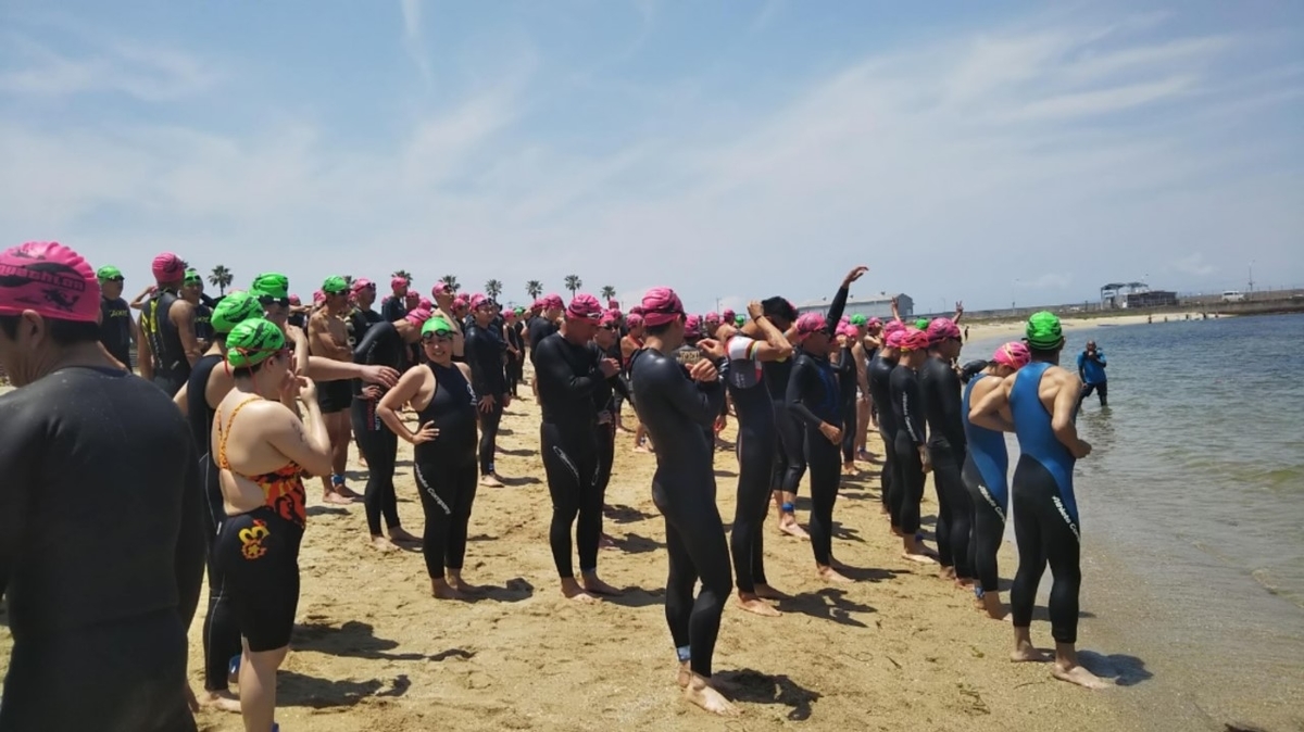 ウェットスーツ トライアスロン初心者向け選び方と購入方法 １万円台で買えます むてんか