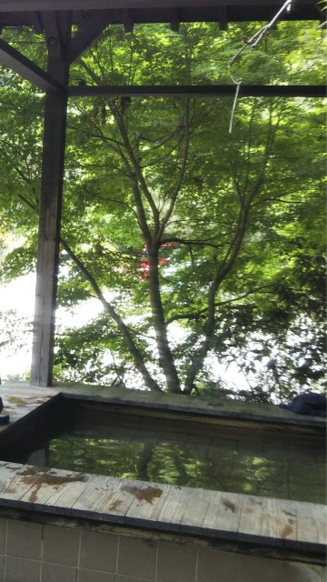 f:id:MUTENKAYUMI:20200605224119j:image f:id:MUTENKAYUMI:20200605224119j:image