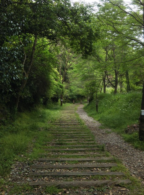 f:id:MUTENKAYUMI:20200605224145j:image f:id:MUTENKAYUMI:20200605224145j:image