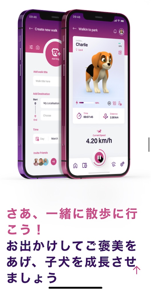 f:id:MVE:20230819135929j:image