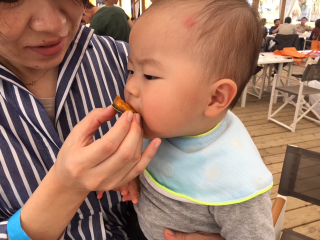 f:id:MVM:20181104172224j:plain f:id:MVM:20181104172224j:plain