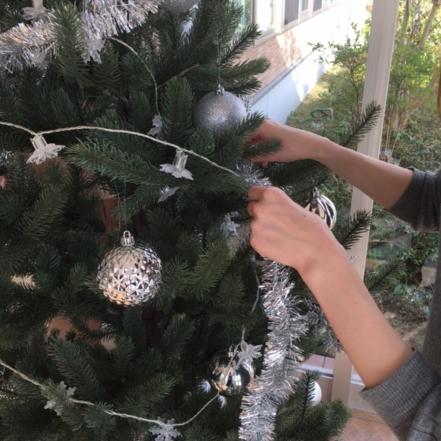 f:id:MVM:20181123192440j:plain f:id:MVM:20181123192440j:plain