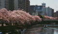 [FILM][横浜][大岡川]