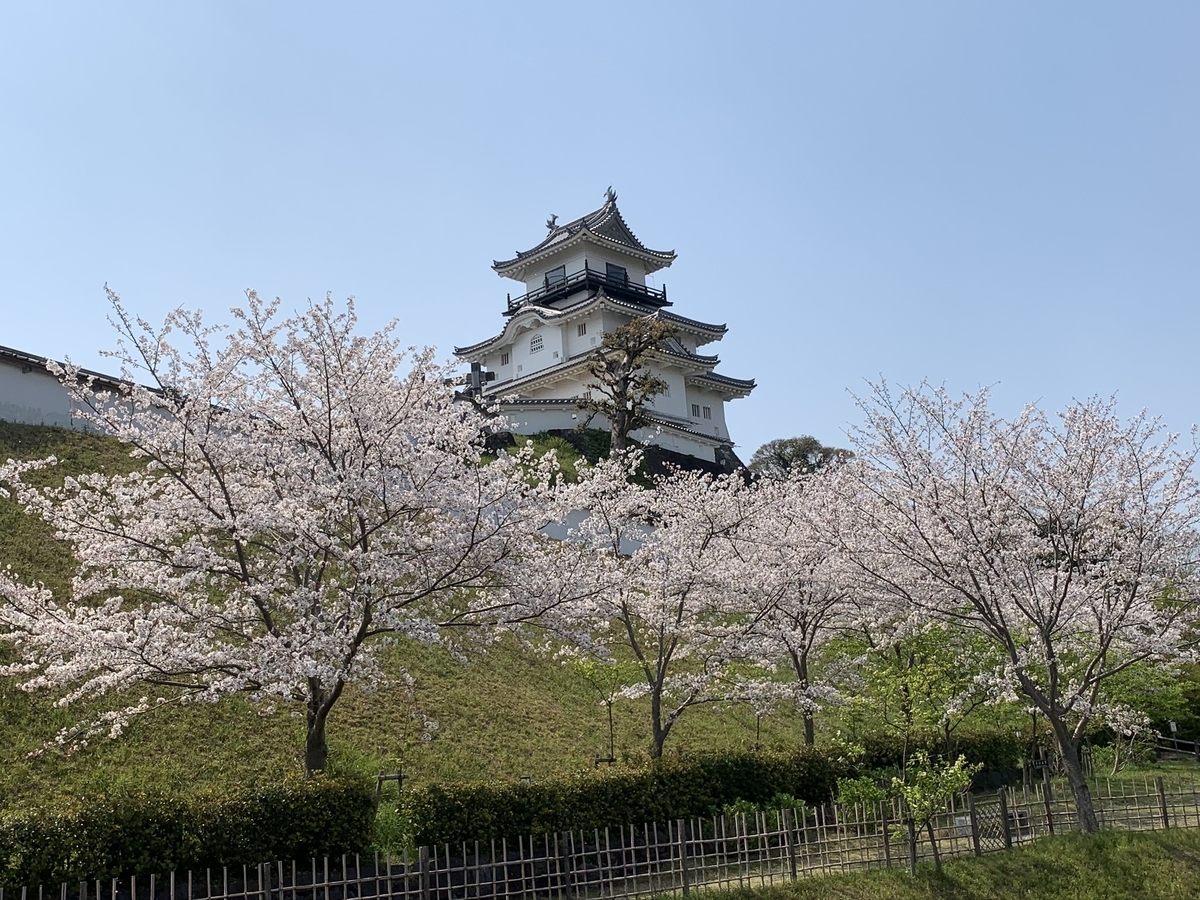 掛川城と桜
