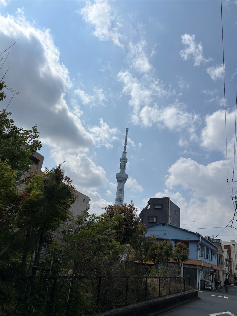 f:id:MYSKNK:20250413103517j:image f:id:MYSKNK:20250413103517j:image
