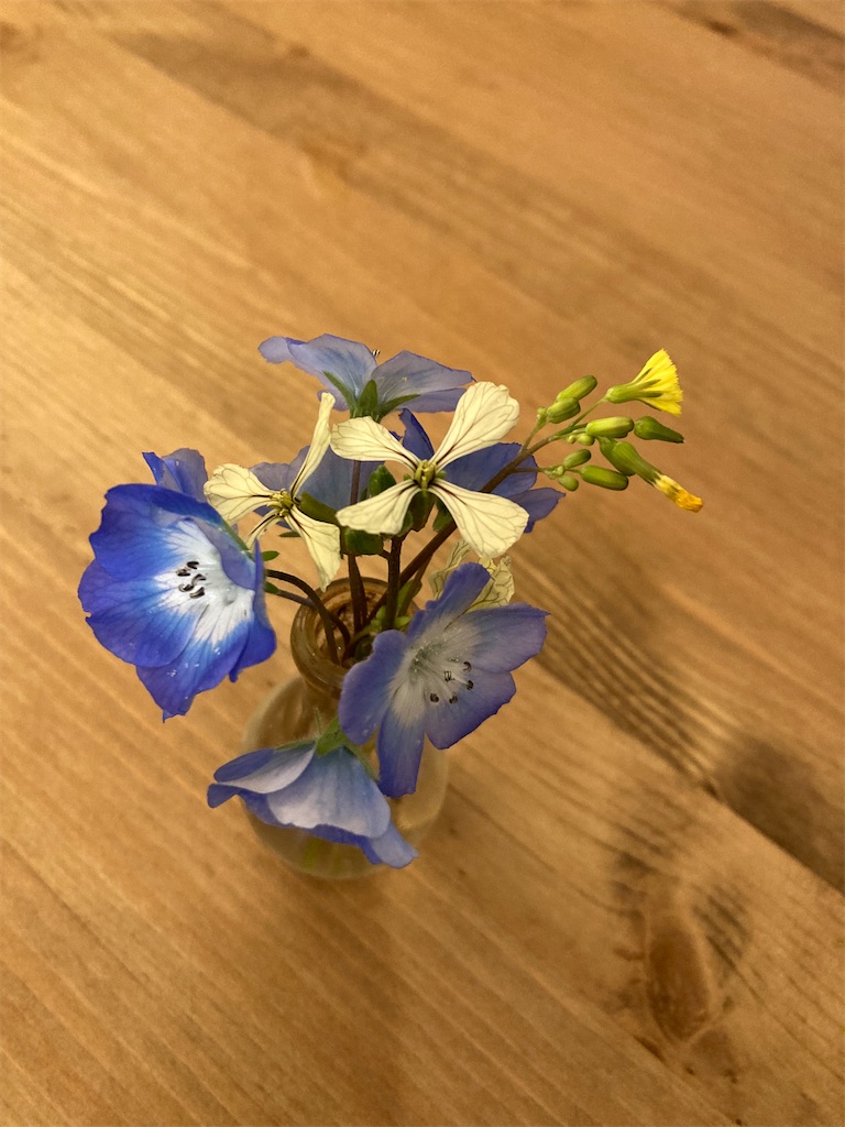 f:id:M_Nekoe:20230327214552j:image f:id:M_Nekoe:20230327214552j:image