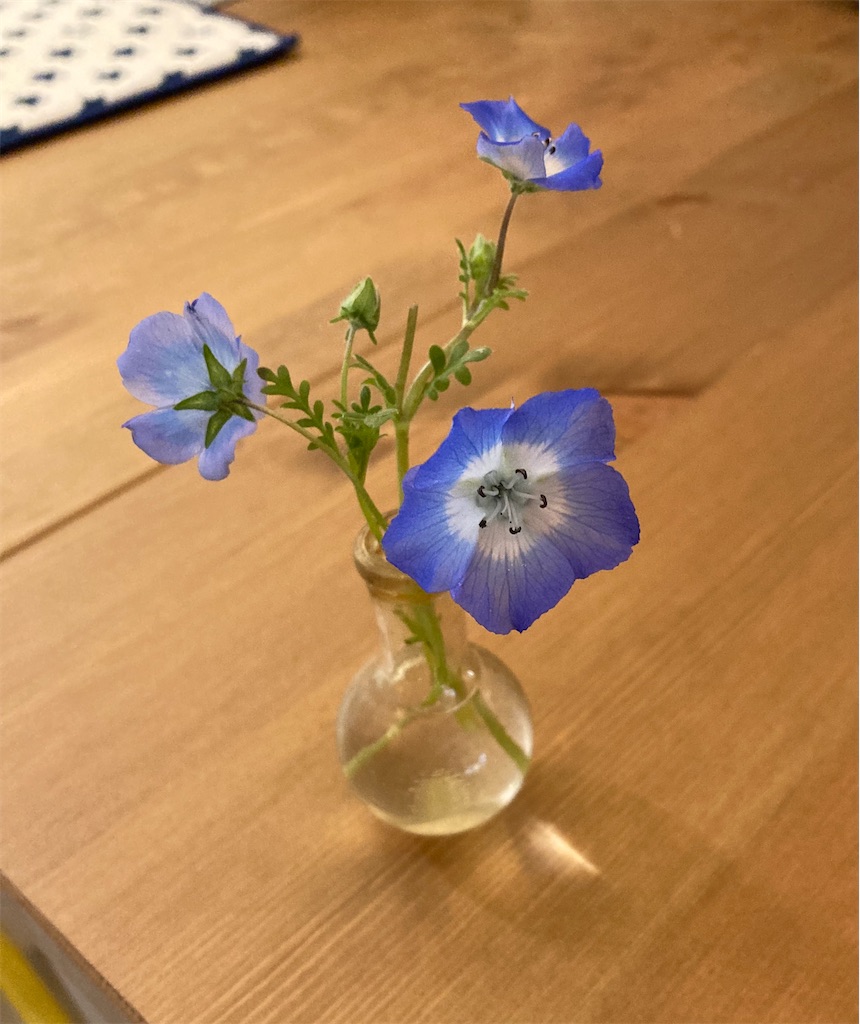 f:id:M_Nekoe:20230411162617j:image f:id:M_Nekoe:20230411162617j:image