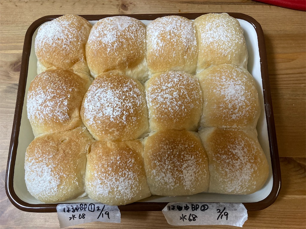 f:id:M_Nekoe:20250226113703j:image f:id:M_Nekoe:20250226113703j:image