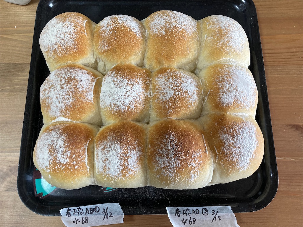 f:id:M_Nekoe:20250318235657j:image f:id:M_Nekoe:20250318235657j:image