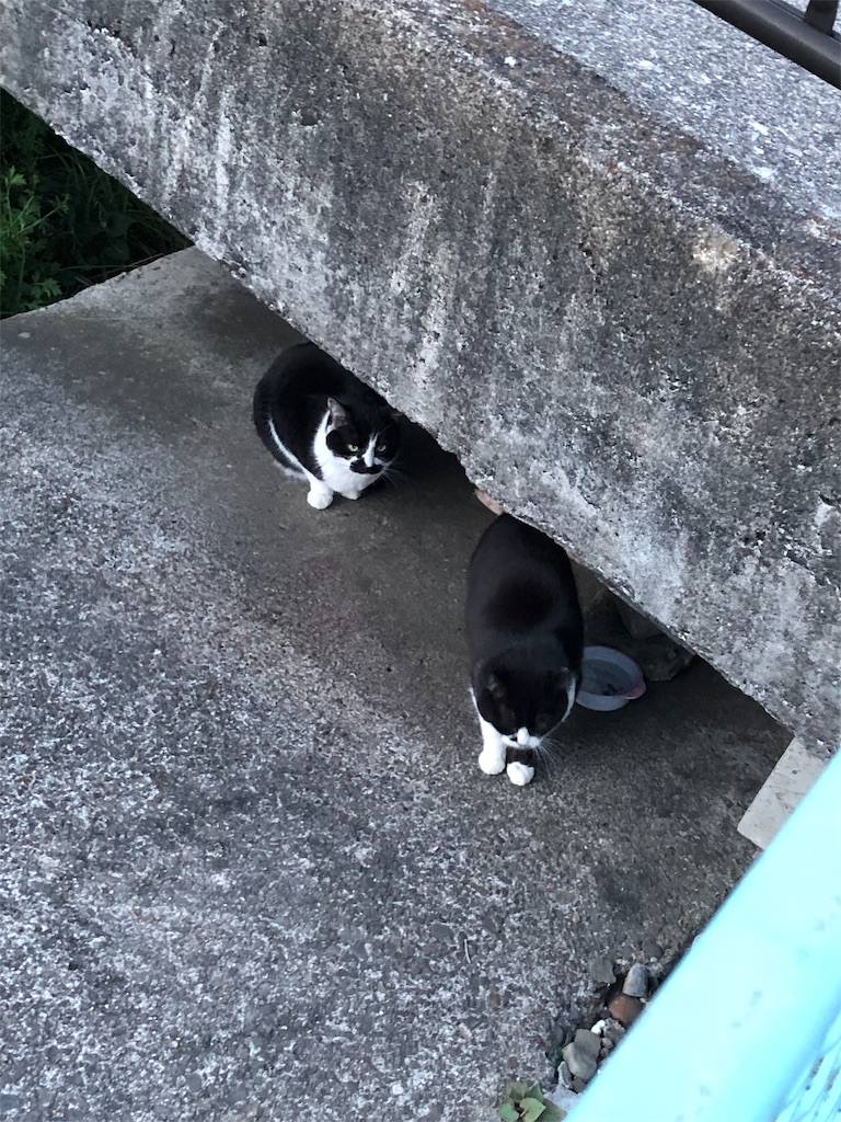 f:id:M_blog:20190601213458j:image f:id:M_blog:20190601213458j:image
