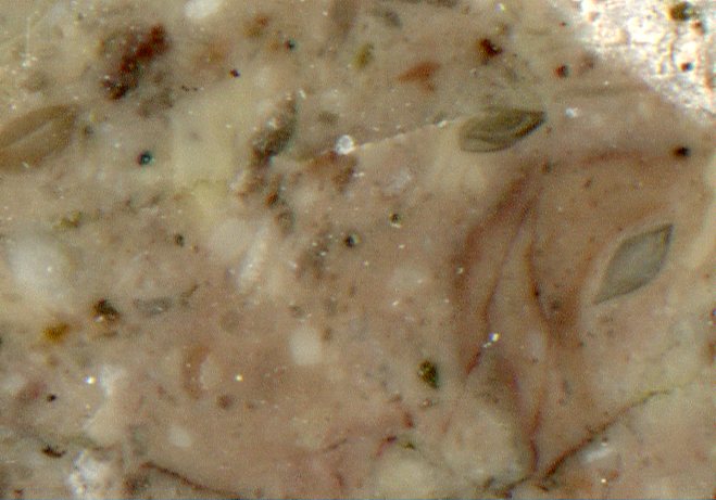 f:id:M_majipan:20180907100444j:plain f:id:M_majipan:20180907100444j:plain