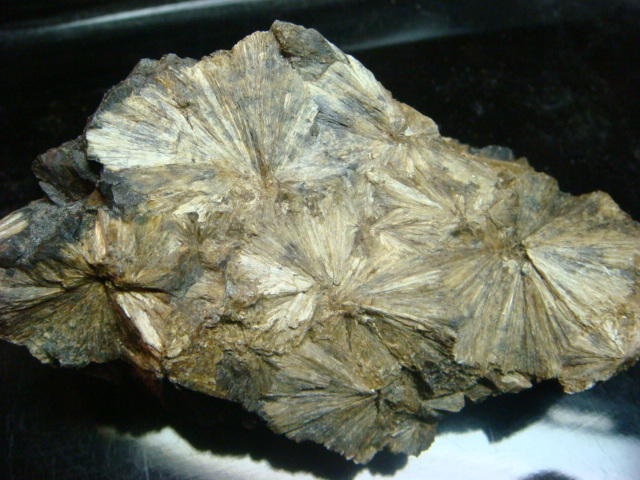 石の花：頑火輝石（がんかきせき） 近場の博物誌