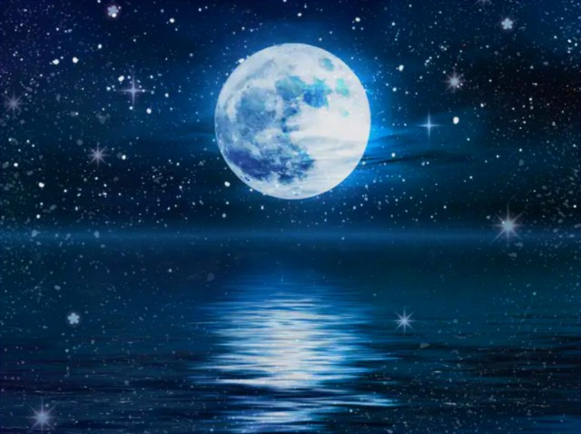 f:id:MaKO:20230206081132j:image