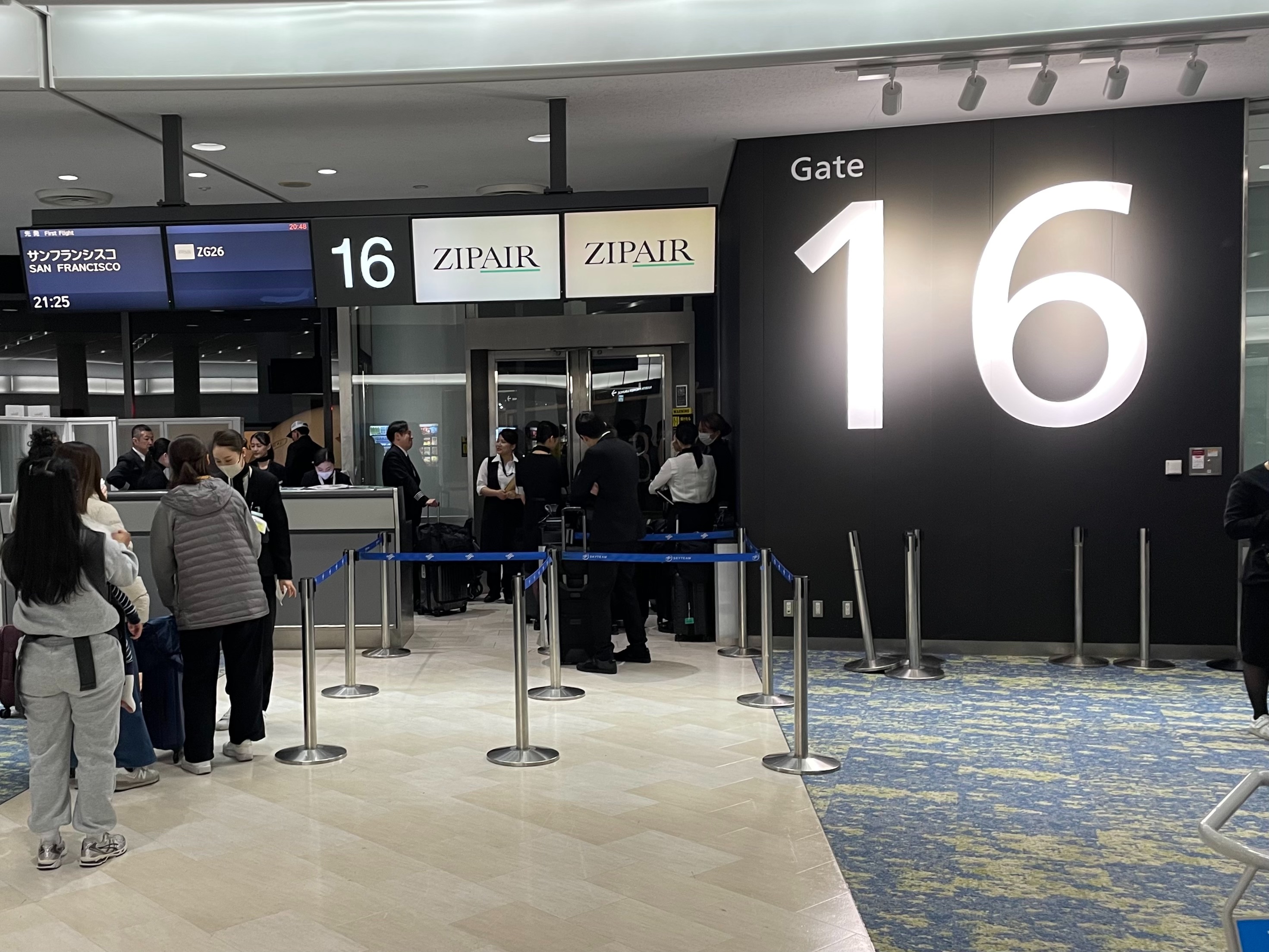 サンフランシスコへ向かう途中で生還 サンフランシスコ発・サウサリート＆ミュアウッズへのおすすめ日帰り