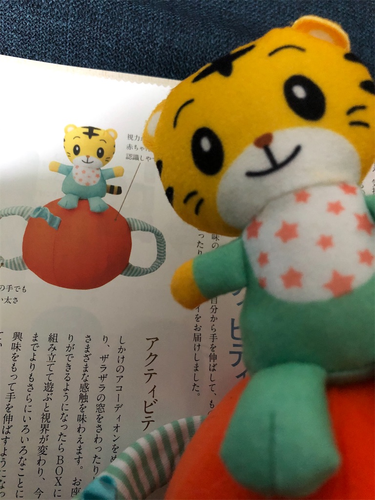生後5ヶ月 しの的雑記