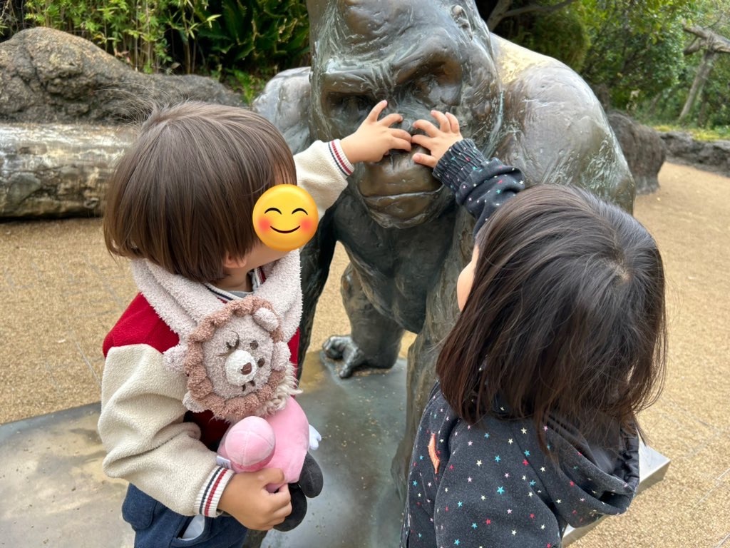 f:id:Ma_uni26:20241110213505j:image
