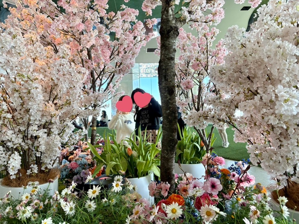 f:id:Ma_uni26:20260304223238j:image