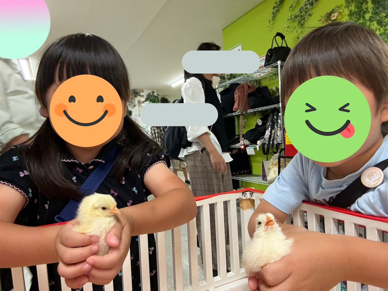 f:id:Ma_uni26:20261018080825j:image