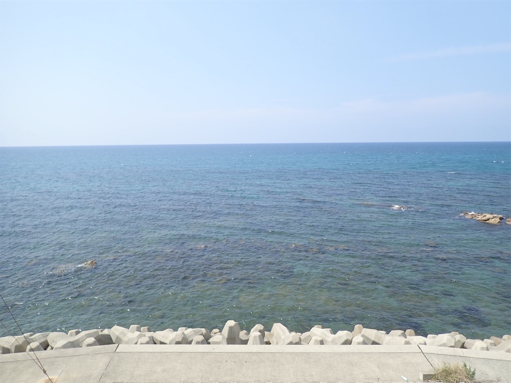 f:id:Maaaaaaa:20200120233947j:image