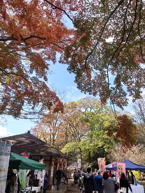 f:id:MaasanM:20231123161049j:image