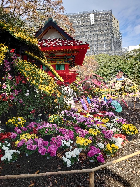 f:id:MaasanM:20231123161114j:image