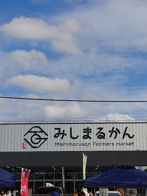 f:id:MaasanM:20231123161845j:image