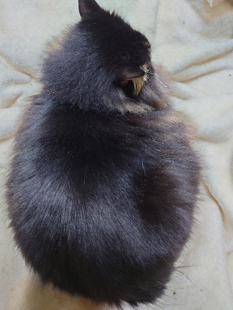 f:id:MaasanM:20240113182619j:image