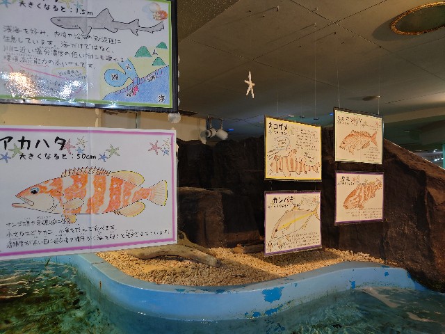 f:id:MaasanM:20240206180055j:image