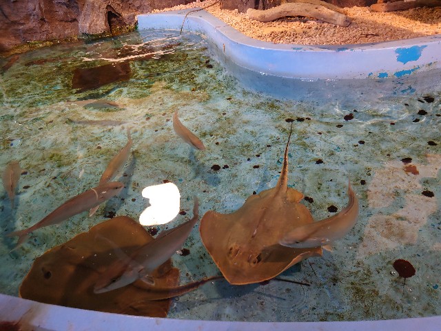 f:id:MaasanM:20240206180102j:image