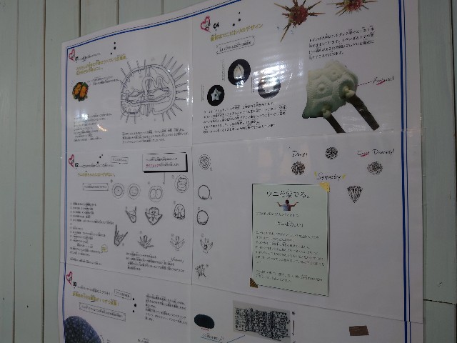 f:id:MaasanM:20240206180109j:image