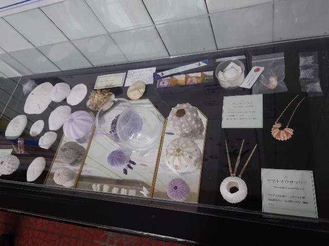 f:id:MaasanM:20240206180114j:image