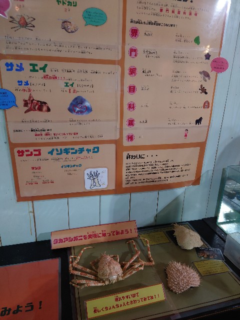 f:id:MaasanM:20240206180130j:image