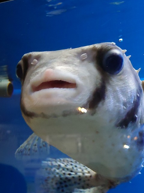 f:id:MaasanM:20240206180140j:image