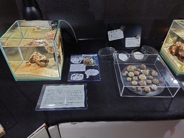 f:id:MaasanM:20240206180203j:image