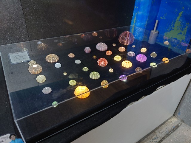 f:id:MaasanM:20240206180211j:image