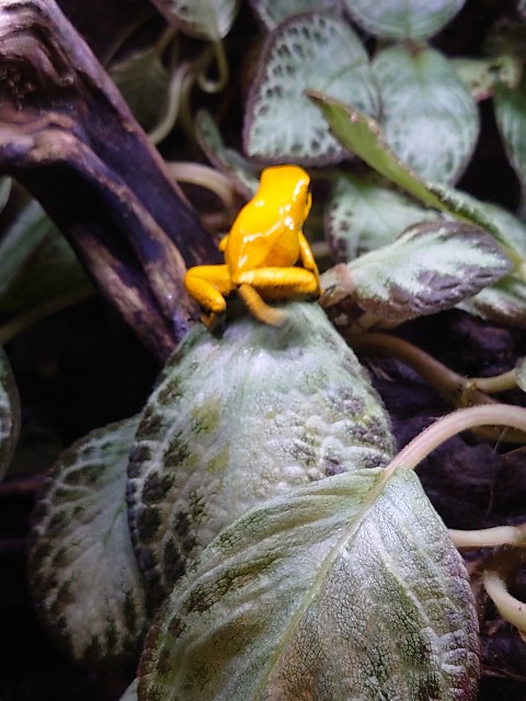 f:id:MaasanM:20240206180655j:image