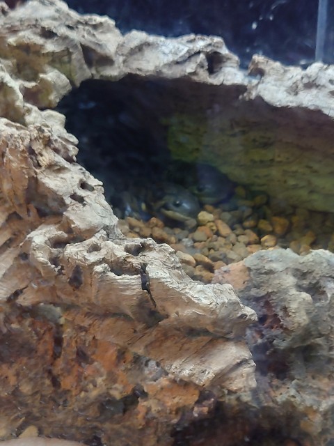 f:id:MaasanM:20240206180739j:image