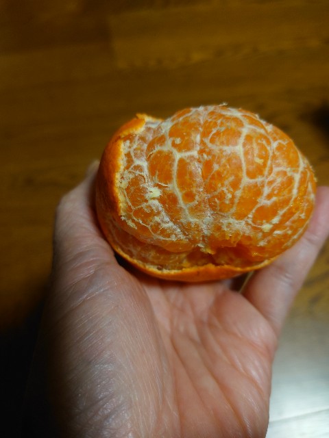 f:id:MaasanM:20240217183139j:image