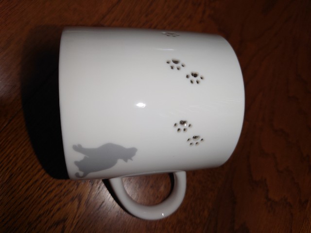 f:id:MaasanM:20240311194143j:image