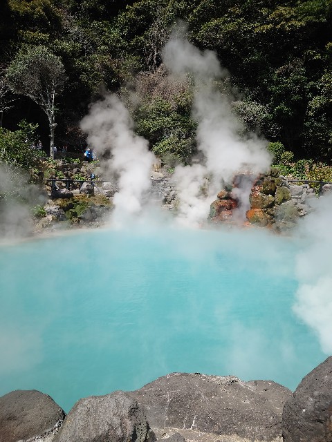 f:id:MaasanM:20240331175910j:image